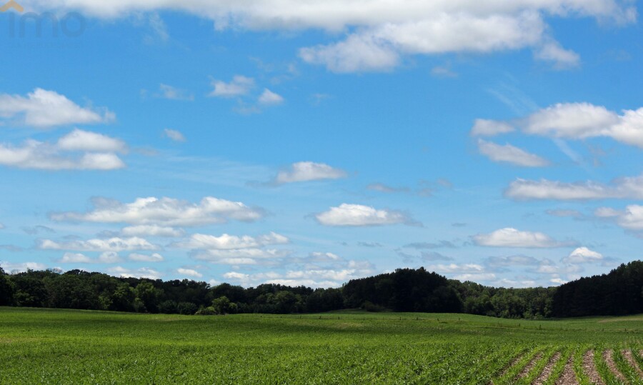 ostrowiecki, Waśniów, Garbacz, Oddam w dzierżawę, czarnoziem